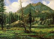 Albert Bierstadt Sierra_Nevada_Mountains oil painting
